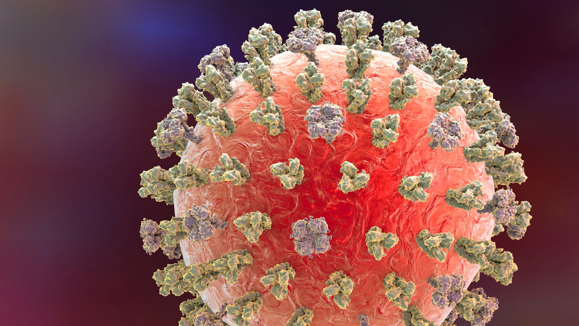 persoana-din-louisiana-spitalizata-cu-h5n1-in-primul-caz-sever-al-natiunii