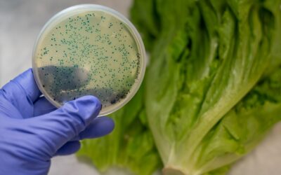 Cum ajunge E. coli în alimente?