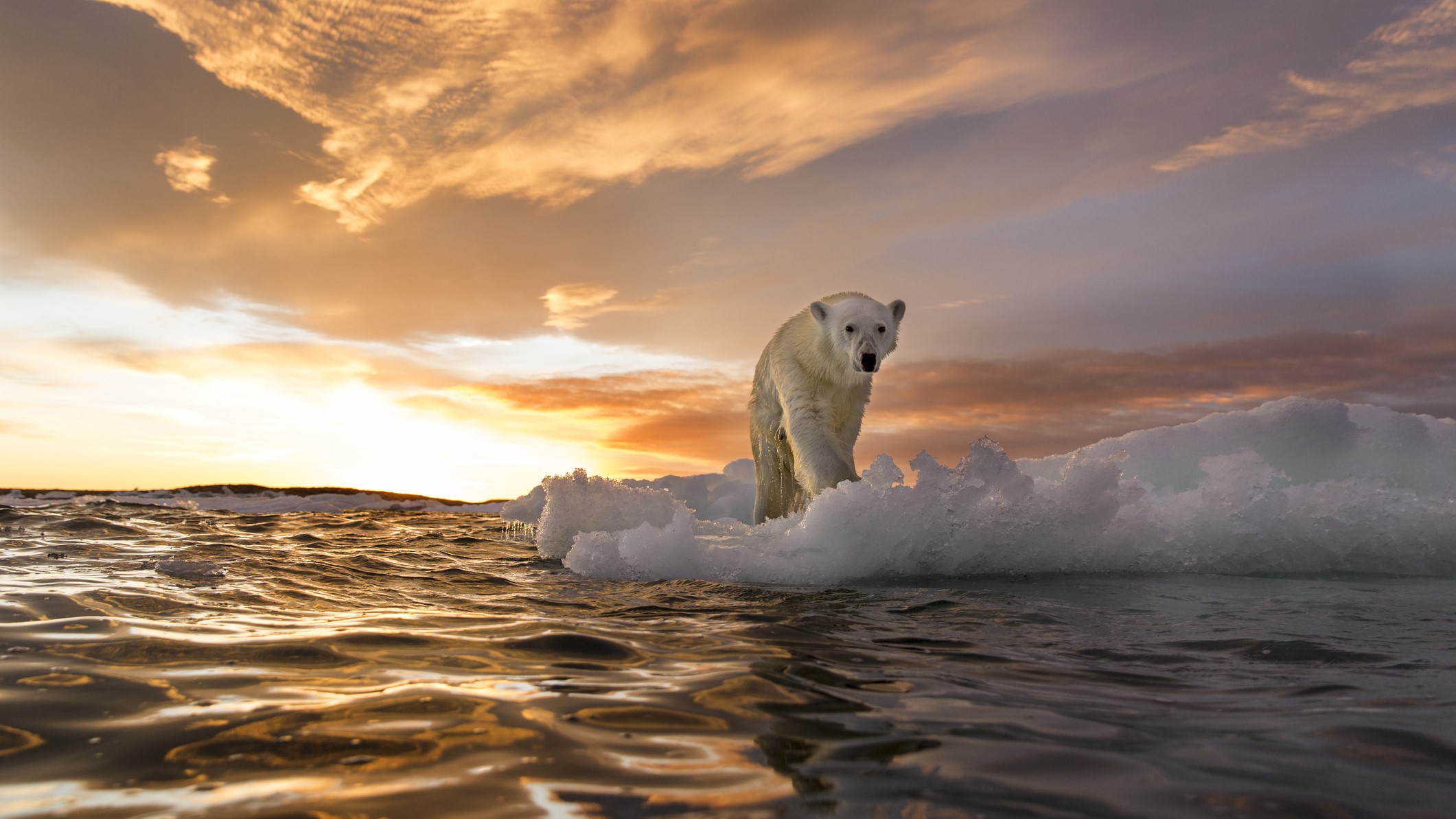 cele-mai-importante-si-socante-povesti-climatice-din-2024