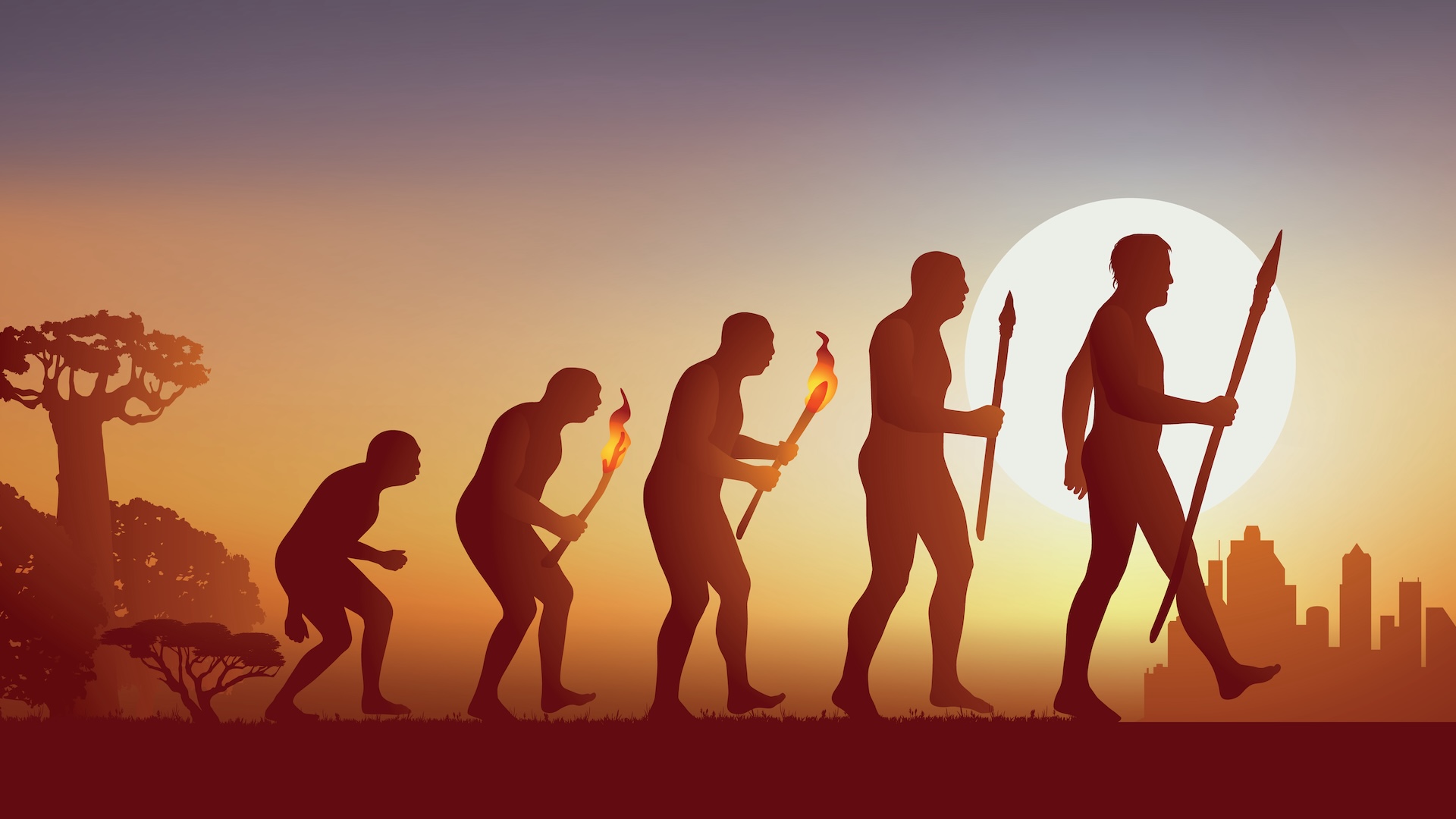 lumina-soarelui-ne-modeleaza-evolutia-–-si-poate-explica-de-ce-unii-oameni-au-parul-cret
