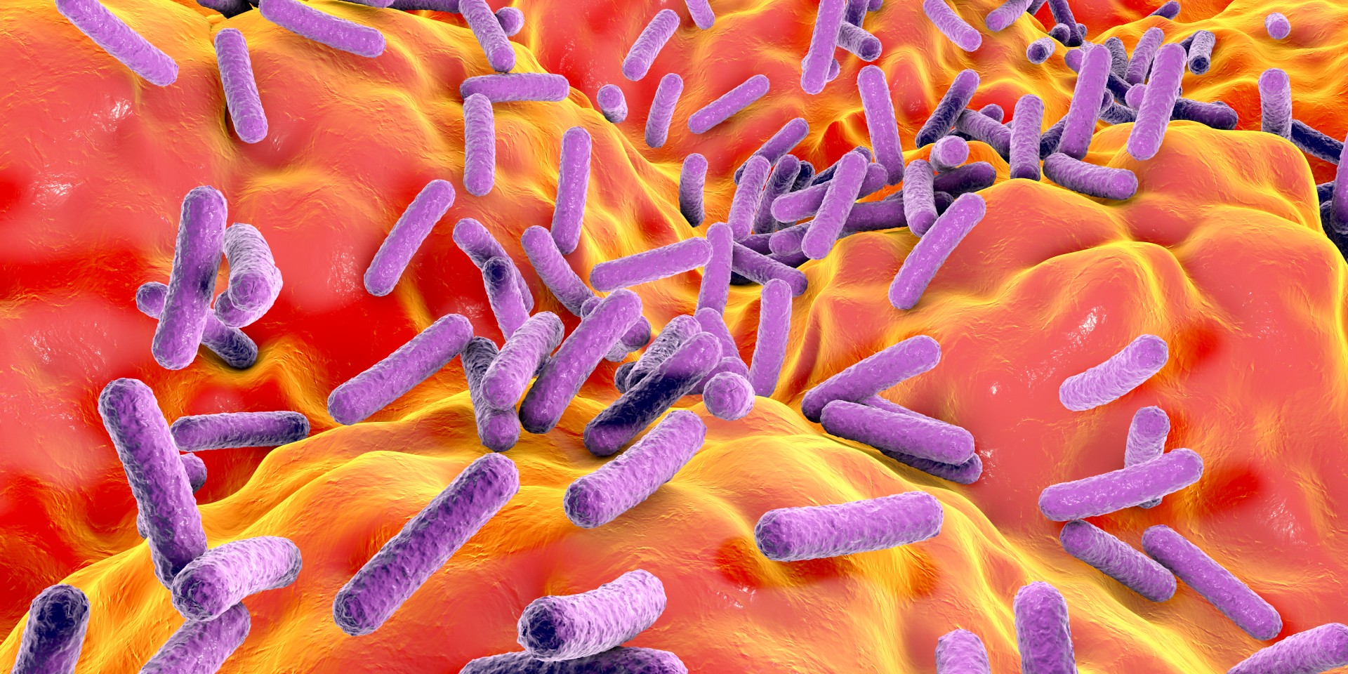10-povesti-cu-„superbacterii”-din-2024,-de-la-„kryptonite”-bacteriene-la-antibiotice-de-adancime