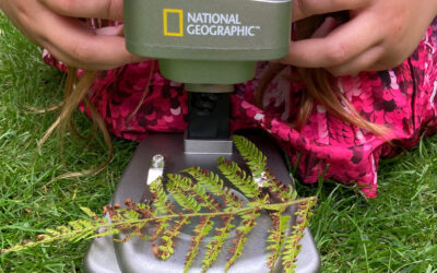 Recenzie National Geographic Ultimate Dual Stereo Microscope