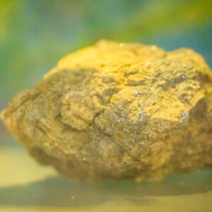 folosirea-materialelor-2d-pe-cipuri-fara-a-distruge-cablurile