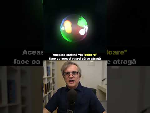 Particule elementare.(2)Quarcul