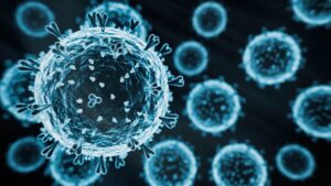 primul-caz-mortal-de-gripa-aviara-h5n1-raportat-in-sua