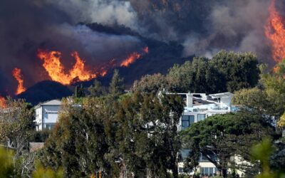 Hărțile cu „secetă” dezvăluie exact de ce au izbucnit incendii de vegetație prin Los Angeles