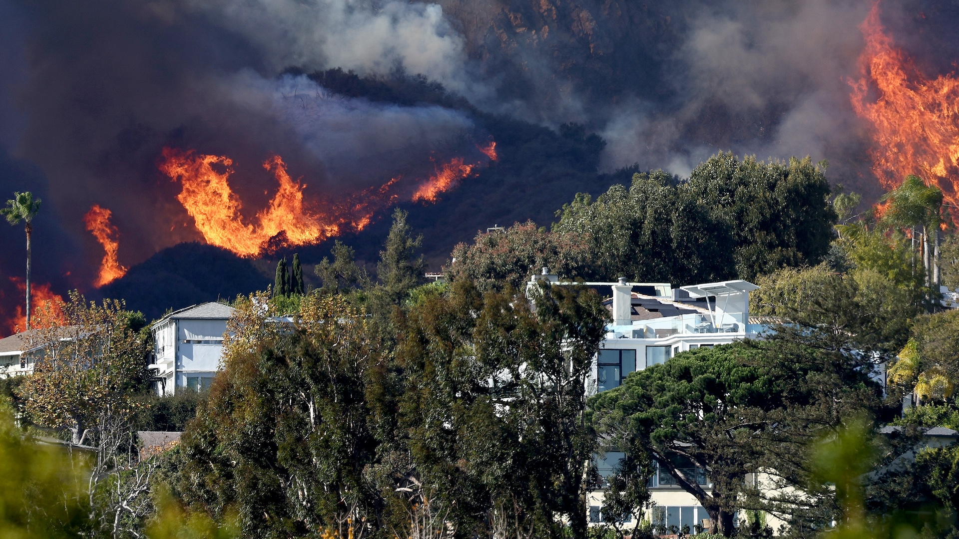 hartile-cu-„seceta”-dezvaluie-exact-de-ce-au-izbucnit-incendii-de-vegetatie-prin-los-angeles