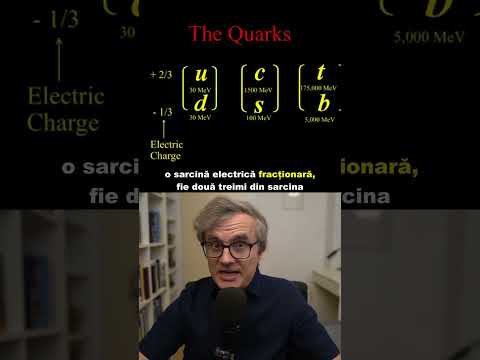 Particule elementare.Quarcul(1)