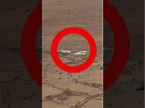 Rover tracks on Mars!