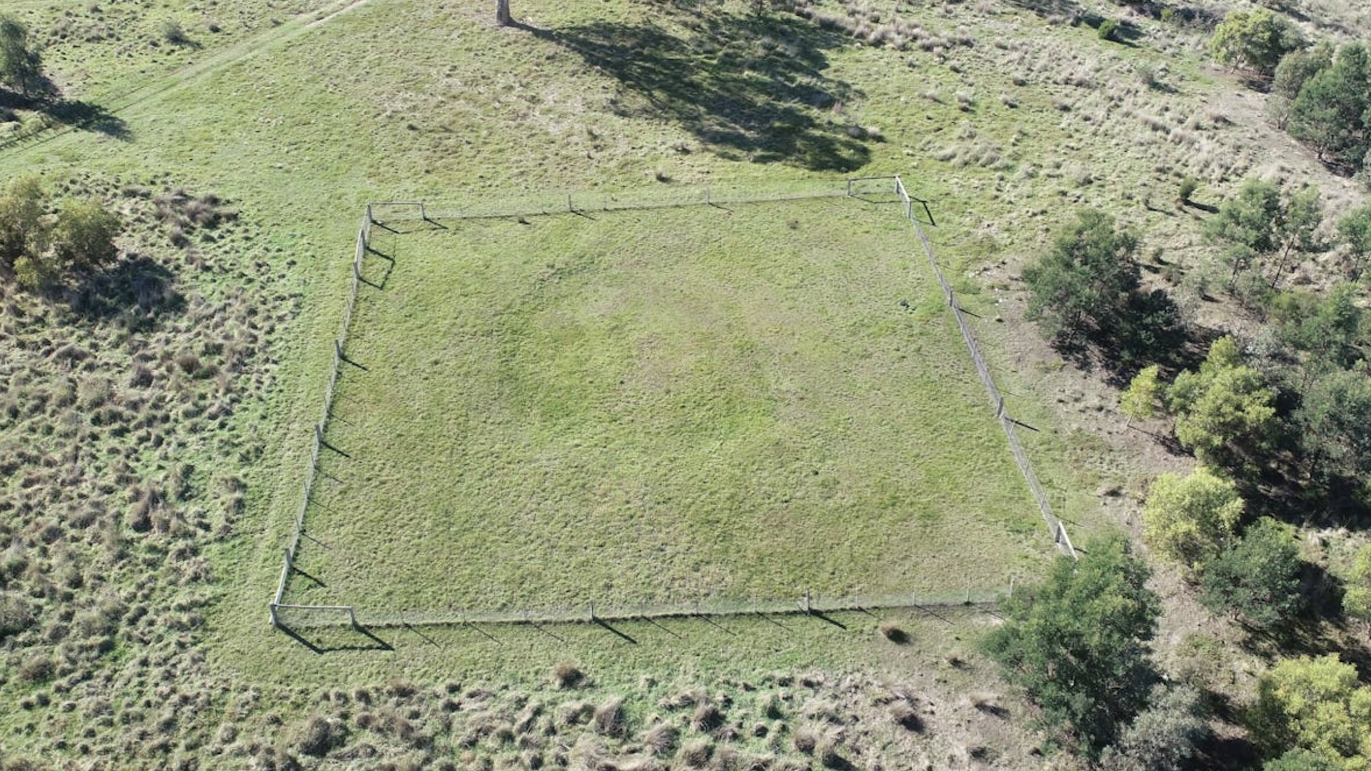 stim-in-sfarsit-ce-sunt-„inelele-misterioase”-vechi-de-1.400-de-ani-din-australia