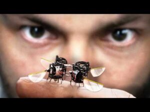 De ce fac oamenii de știință insecte robot?