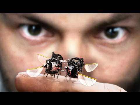 De ce fac oamenii de știință insecte robot?