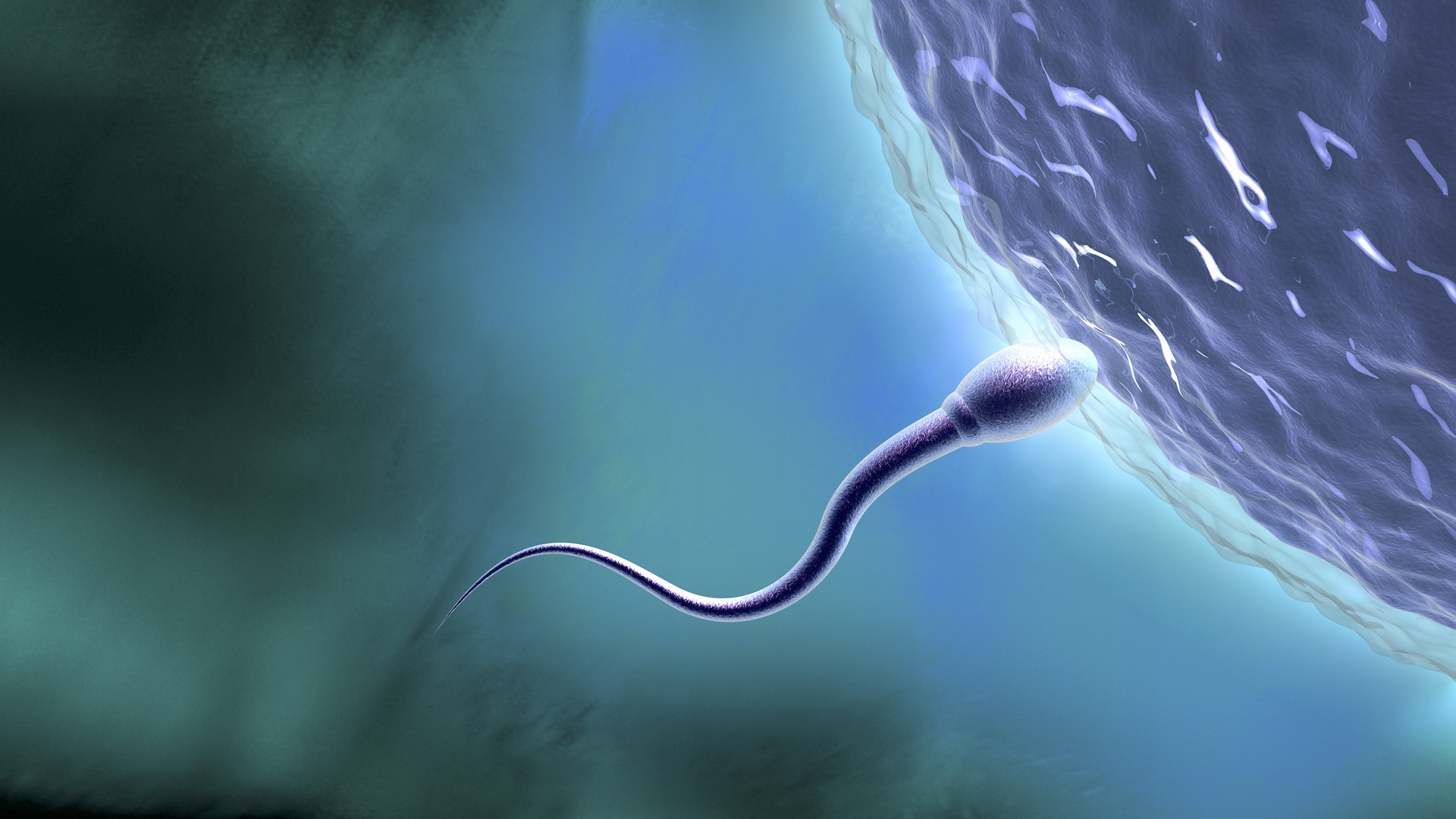 celulele-spermatozoizi-poarta-urme-de-stres-din-copilarie,-studiul-epigenetic-gaseste