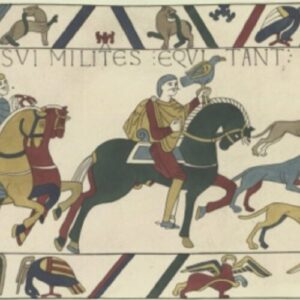 o-toaleta-telltale-dezvaluie-site-ul-„pierdut”-prezentat-in-tapiseria-bayeux