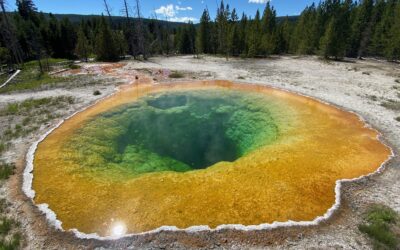 Cutremurul Parcului Național Yellowstone agită cea mai tară și cea mai veche zonă geotermală