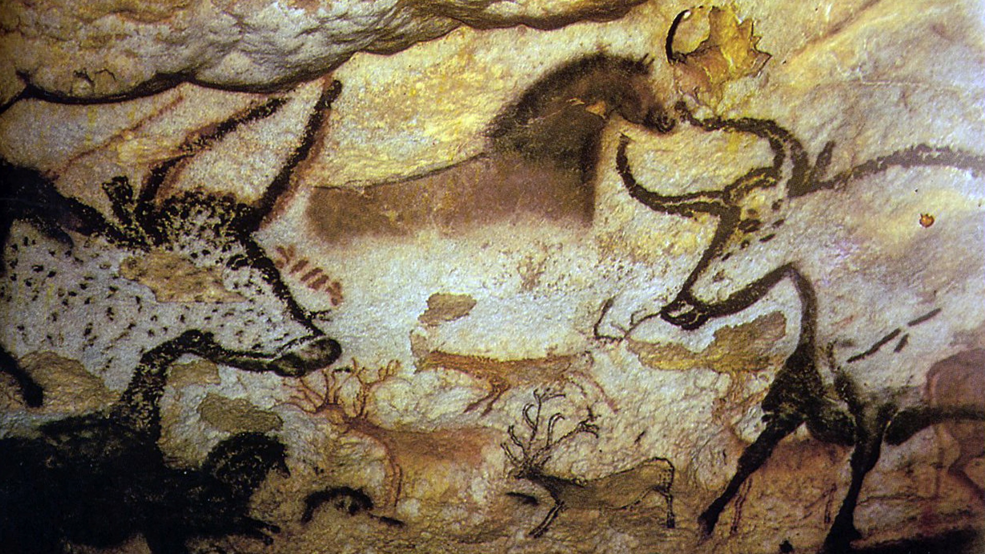 7-pesteri-bantuitoare-oameni-antici-folosite-pentru-arta,-inmormantari-si-macelarie