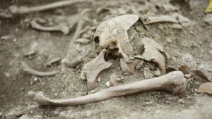 inmormantarea-medievala-„vampir”-in-croatia-contine-resturi-decapitate-si-rasucite