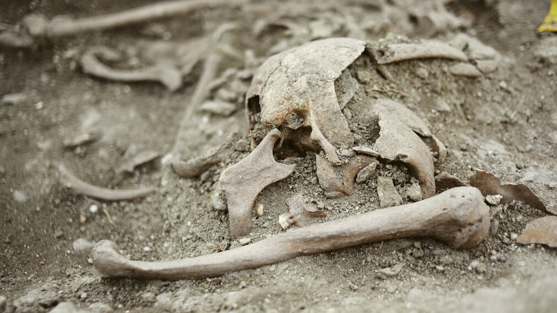 inmormantarea-medievala-„vampir”-in-croatia-contine-resturi-decapitate-si-rasucite