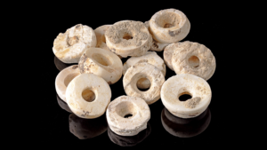 cea-mai-mare-cota-din-lume-gasita-in-mormantul-„ivory”,-in-varsta-de-5.000-de-ani,-in-spania
