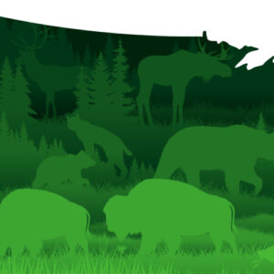 dupa-ce-trump-a-ucis-un-raport-despre-natura,-cercetatorii-se-indreapta-inainte-cu-eliberarea