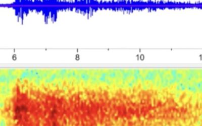 De la 900 de mile distanță, guvernul SUA a înregistrat audio a sub -imploziunii Titan