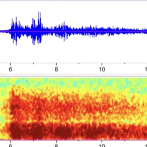 De la 900 de mile distanță, guvernul SUA a înregistrat audio a sub -imploziunii Titan