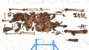 femeia-decapitata-gasita-in-irish-bog-este-sacrificiul-ritual-vechi-de-2.000-de-ani