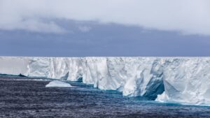 „regina-aisbergurilor”-a23a-grounds-off-south-atlantic-wildlife-haven