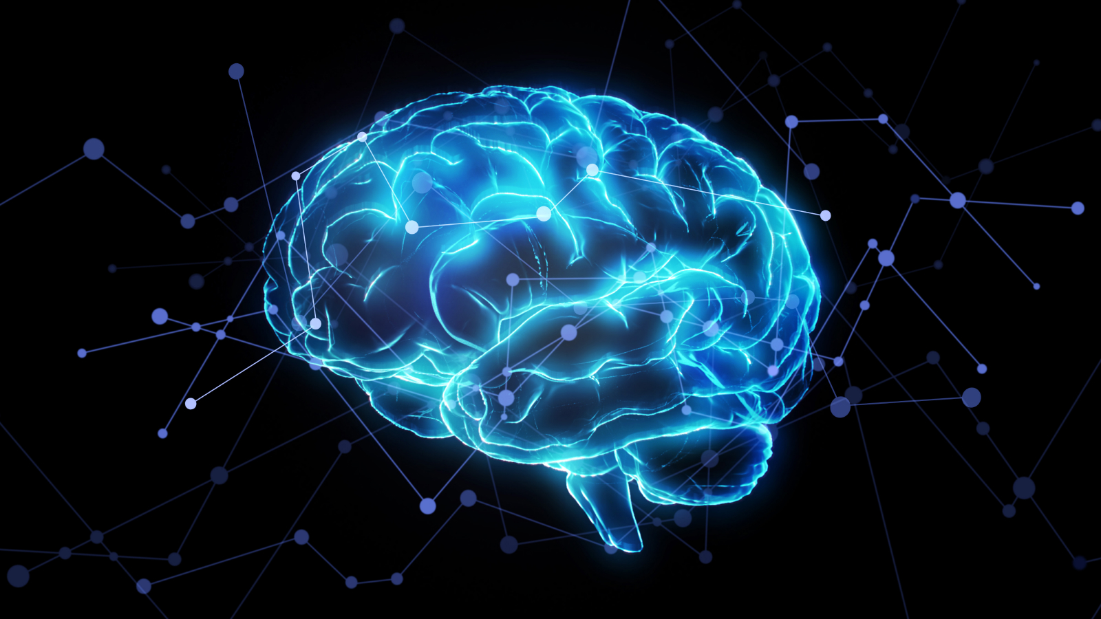 algoritmul-ai-folosit-pentru-despachetarea-neurostiintei-limbajului-uman