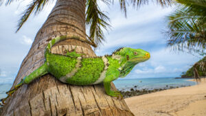 iguanas-a-navigat-pe-o-cincime-din-drum-in-jurul-lumii-pe-plute-acum-34-de-milioane-de-ani