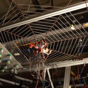 experimente-spiderbot-sugereaza-la-„ecolocalizare”-pentru-a-localiza-prada