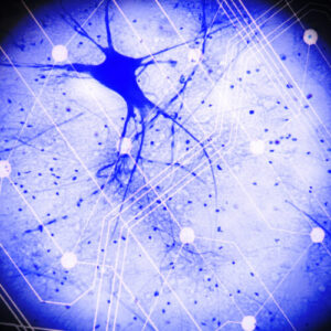 cercetatorii-obtin-un-comportament-neural-in-varf-dintr-o-pereche-de-tranzistoare