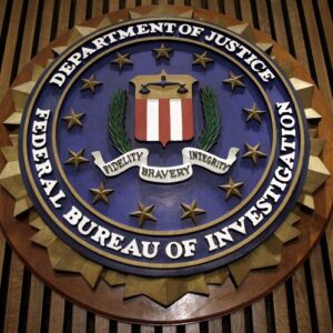 fbi-ataca-acasa-de-informatica-proeminenta-care-a-plecat-incompat