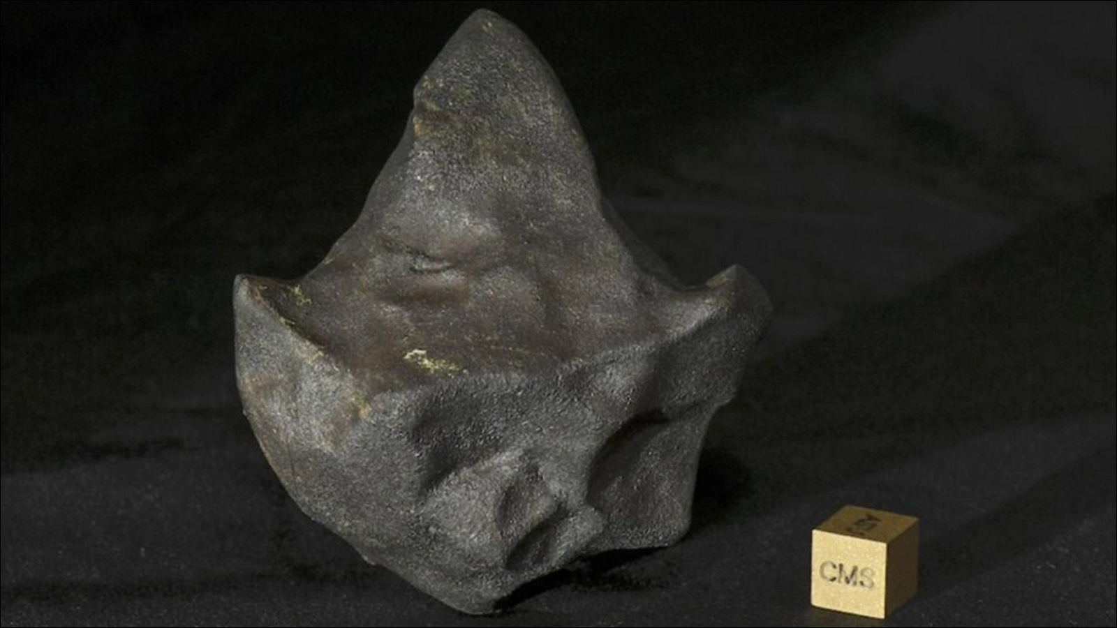 cum-a-supravietuit-un-meteorit-„mudball”-pentru-a-ateriza-in-junglele-din-america-centrala