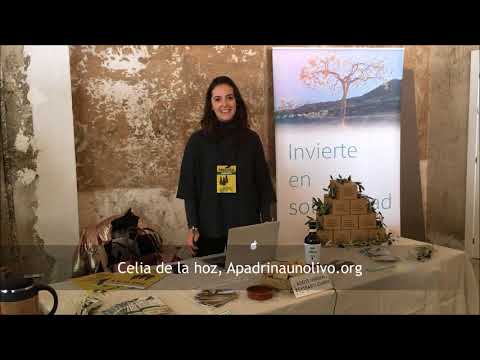 Apadrina un olivo en #Presura