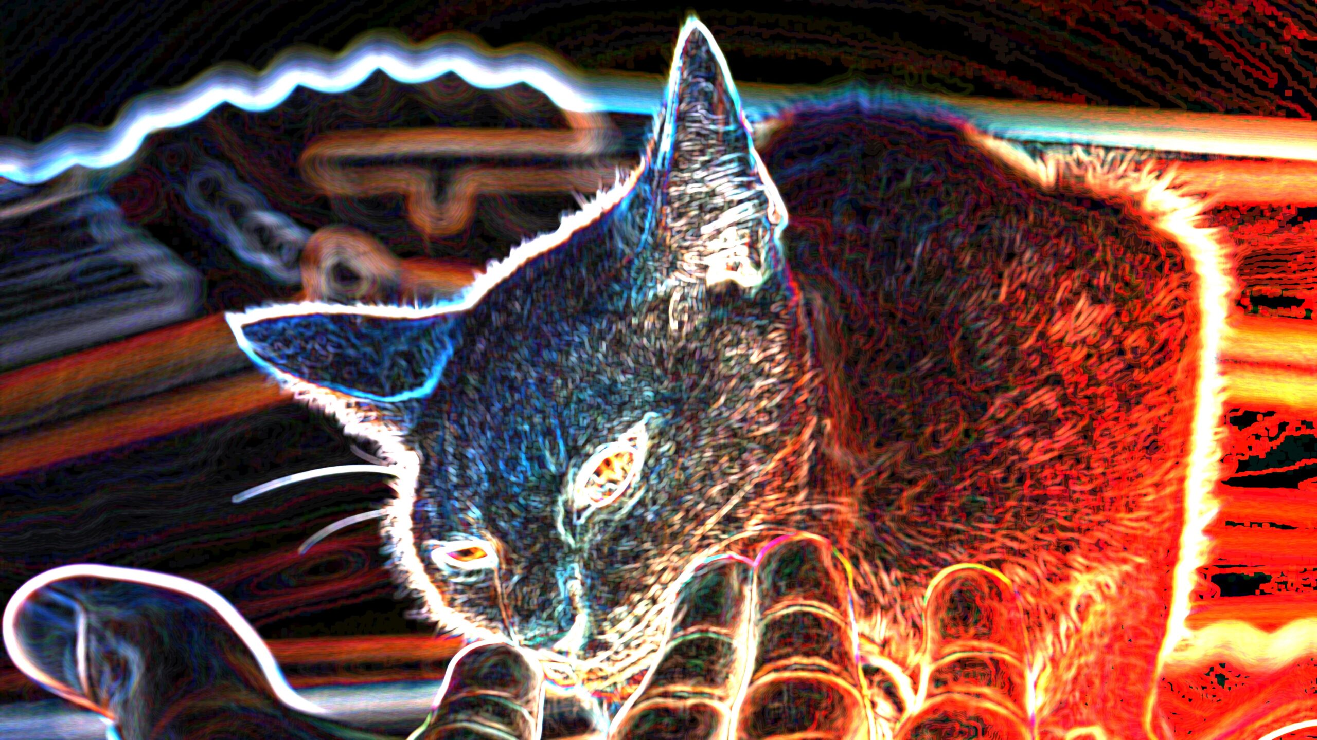 fizicienii-creeaza-cea-mai-tara-pisica-a-lui-schrodinger-in-breakthrough-thankhrough-quantum-technology
