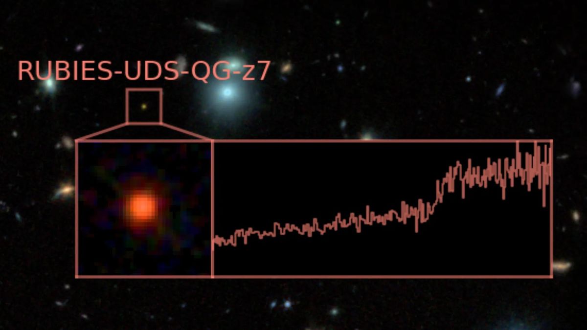 galaxia-„dead”-record-descoperita-de-jwst-a-trait-rapid-si-a-murit-tanar-in-universul-timpuriu
