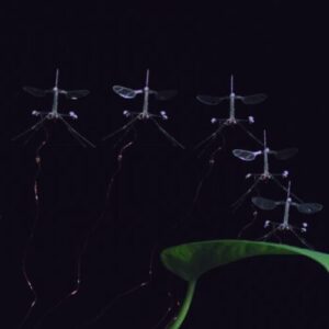 robobee-lipeste-aterizarea