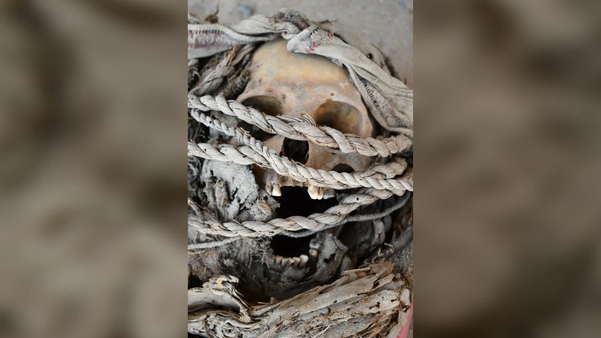 mormant-circular-masiv-umplut-cu-oameni-cicatrizati-de-lupta,-dezgropate-in-peru