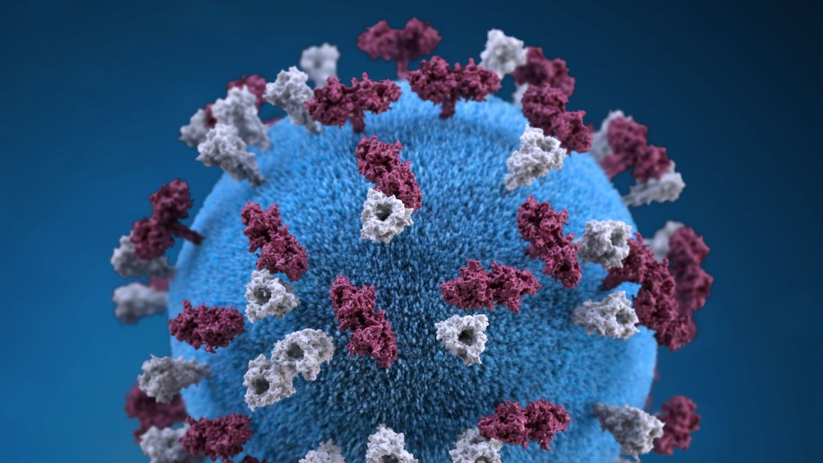 rasle-are-consecinte-pe-termen-lung-pentru-sanatate-pentru-copii-vaccinurile-pot-preveni-toate.