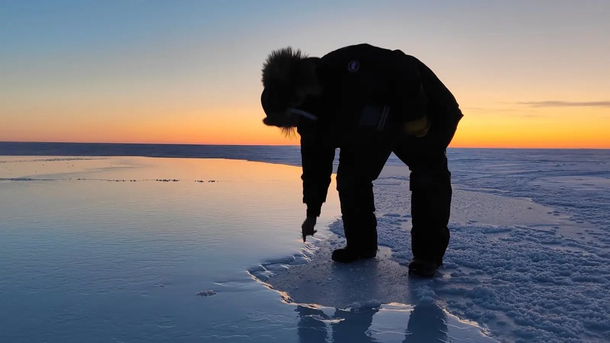 noile-tehnologii-ajuta-la-regasirea-ghetii-de-mare-arctica