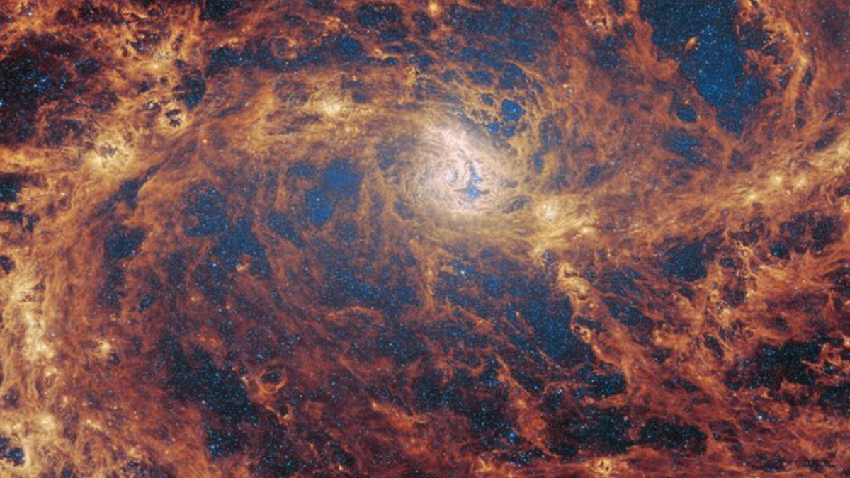 a-descoperit-telescopul-james-webb-space-o-gaura-neagra-„lipsa”?-(video)
