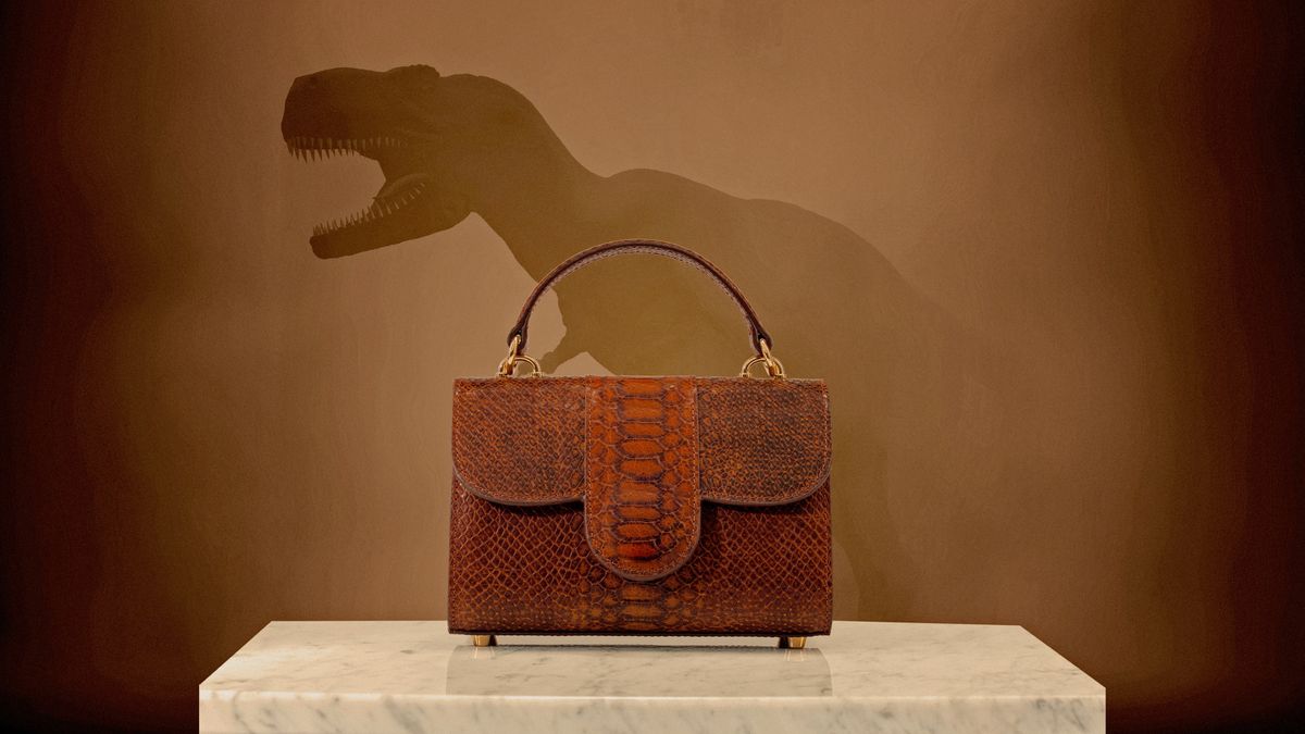 t.-rex-cercetatorii-evisceaza-anuntul-din-piele-dinozaur-„inselator”