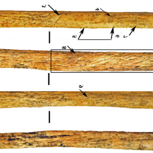 Neanderthalii au inventat propria tehnologie de armă osoasă până acum 80.000 de ani