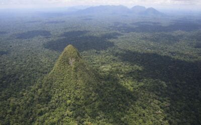 El Cono: misteriosul „piramidă” ascuns adânc în pădurea tropicală Amazon