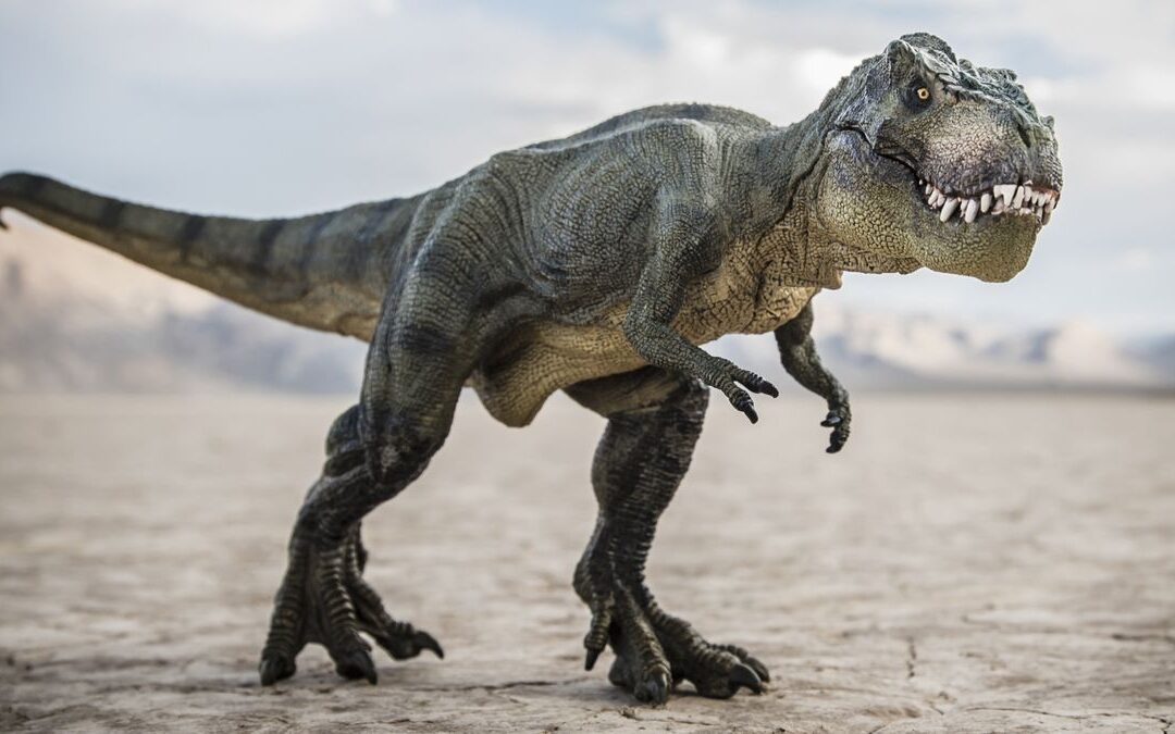 Este posibil ca T. Rex să fi evoluat în America de Nord până la urmă, spun oamenii de știință