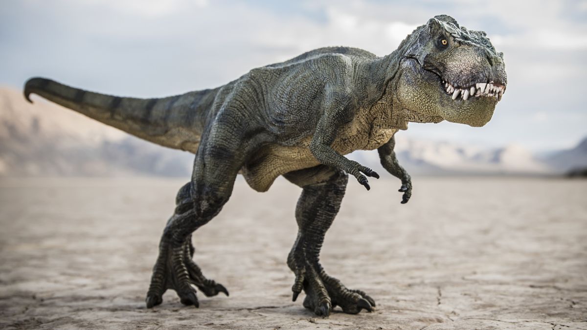 este-posibil-ca-t.-rex-sa-fi-evoluat-in-america-de-nord-pana-la-urma,-spun-oamenii-de-stiinta