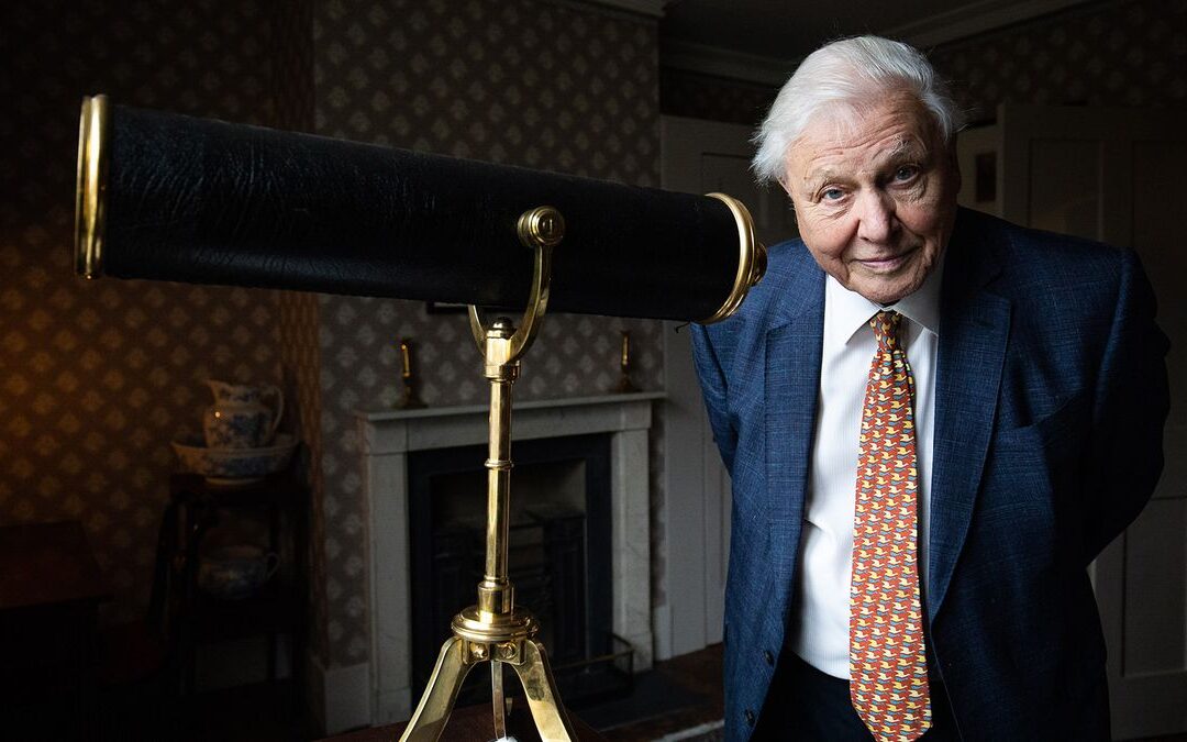 9 fapte surprinzătoare despre David Attenborough la 99 de ani de naștere