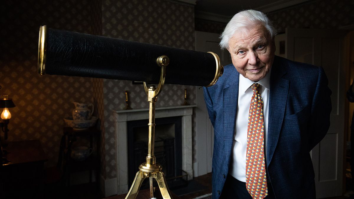 9-fapte-surprinzatoare-despre-david-attenborough-la-99-de-ani-de-nastere