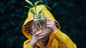 plante:-fapte-despre-furnizorii-nostri-de-oxigen